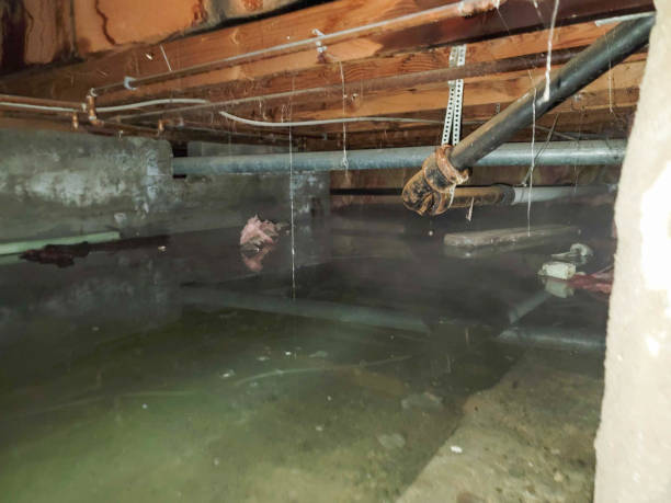 Best Emergency water damage restoration  in Chappaqua, NY