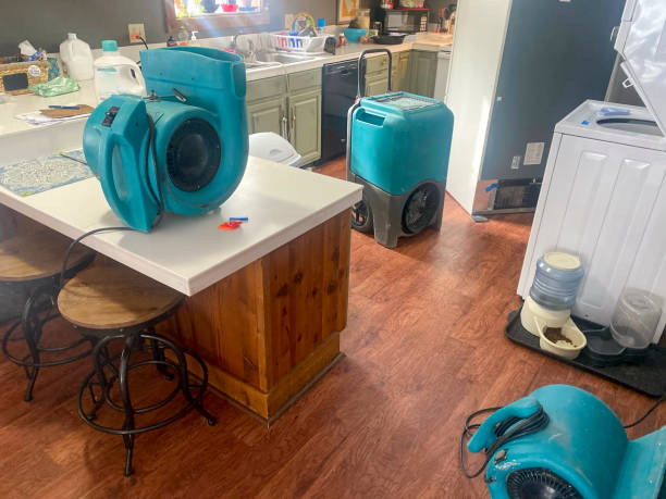 Best Mold removal after water damage  in Chappaqua, NY