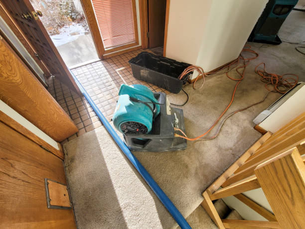 Best Sewage cleanup and water damage restoration  in Chappaqua, NY