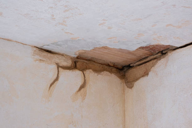 Best Water damage restoration services  in Chappaqua, NY