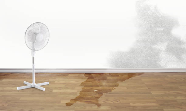 Best Carpet water damage restoration  in Chappaqua, NY