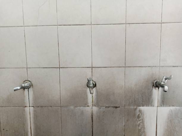 Best Water damage contractors near me  in Chappaqua, NY