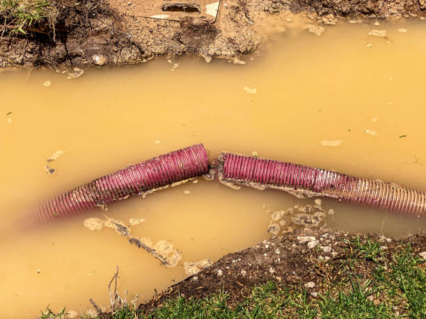Best Flood restoration services  in Chappaqua, NY